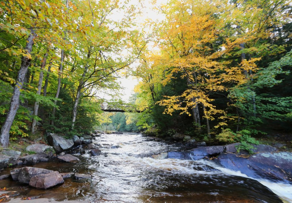 bridge over river in fall forest