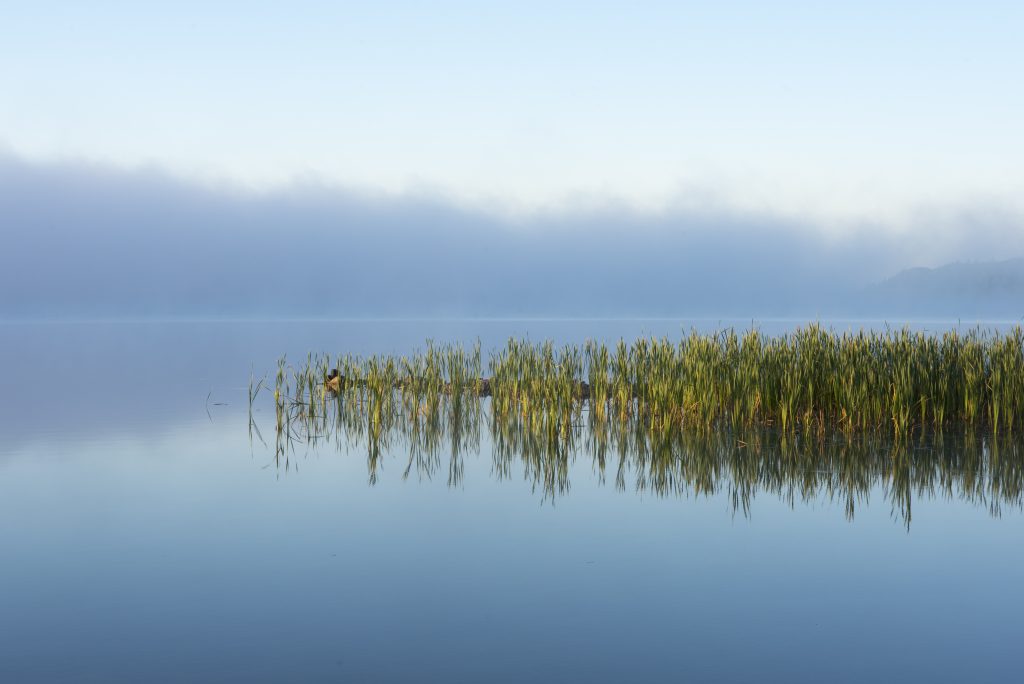 misty lake