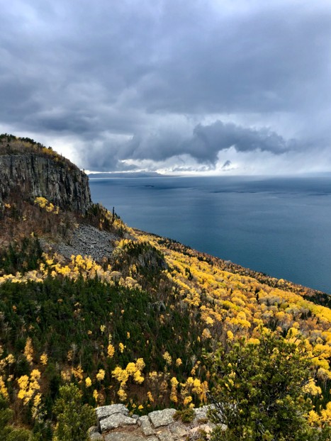 cliffside with forest dotted with yellow trees