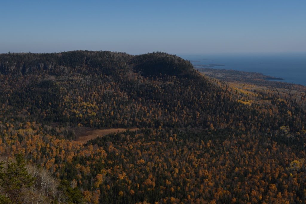 lookout view of forest with fall colours