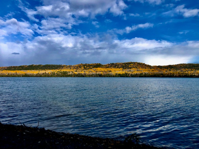 lake with fall colours around shore