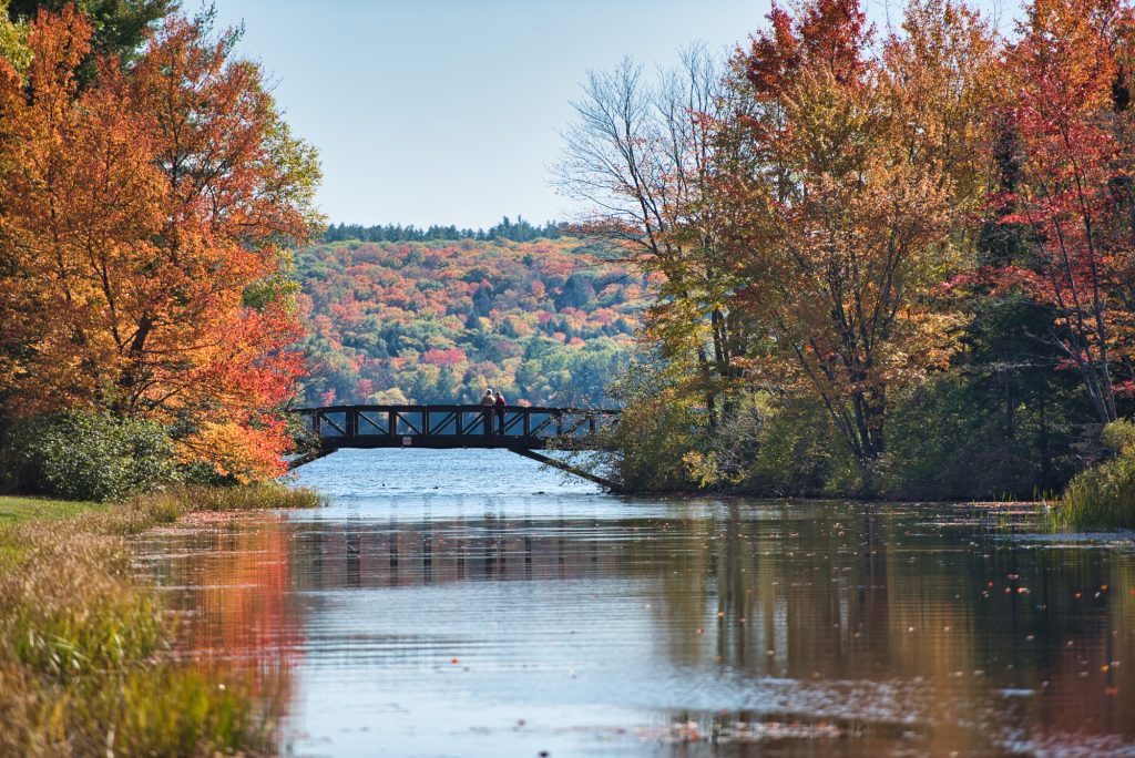 lake outlet in fall forest