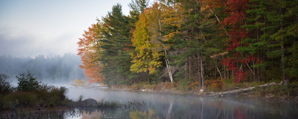 fall colours beside misty river