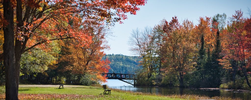 bridge over river in fall forest